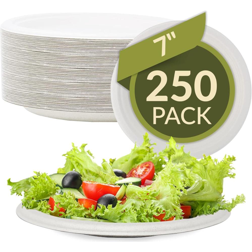 imageReli Compostable Paper Plates 7 Inch 250 Pack Bulk White Disposable Plates 7 Heavy Duty Paper Eco Friendly Made of Sugarcane FibersBagasse BiodegradableCompostable Small