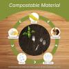 Reli. Compostable Forks (275 Pack) | Disposable Utensils Heavy Duty Forks | Compostable Utensils, Cutlery for Party, Events, Party Supplies | BPA Free, Cornstarch, Composting Flatware (White)