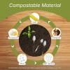 Reli. Compostable Spoons (600 Pack) | Soup Spoons, Disposable Utensils Heavy Duty | Compostable Utensils, Cutlery for Party, Hot Food, Party Supplies | BPA Free, Cornstarch (White)